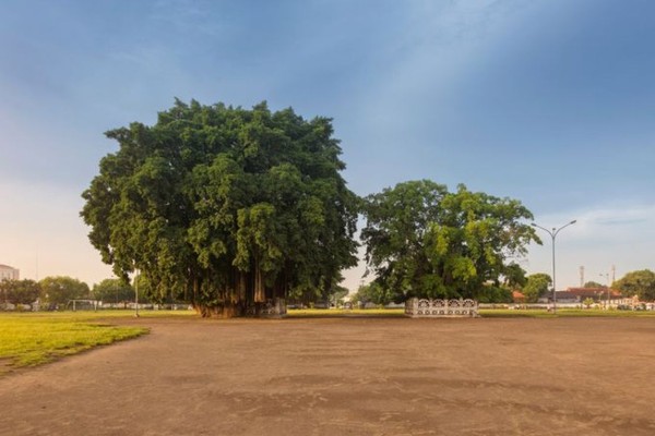 Alun-Alun Kidul (Selatan)